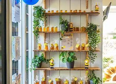 Vakantiehuis (4p) dichtbij zee - 14