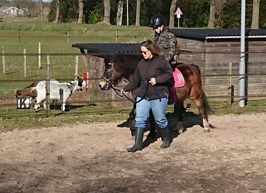 Safaritent op gezellige camping in Drenthe - 16