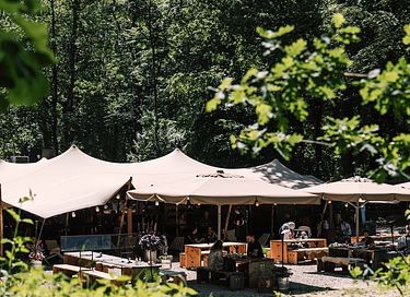 Luxury Pod in the middle of the forest - 18