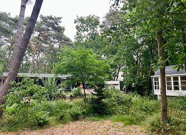 Romantic hide out in the forest near the sea - 43