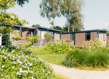 Luxury lodge for two on the Veluwe - 2