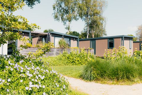 Luxury lodge for two on the Veluwe - 2