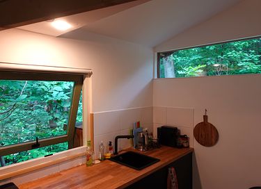 Cabane en bois dans la forêt - 10