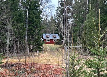 Netzunabhängige Hütte inmitten der schwedischen Natur