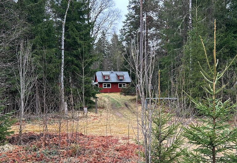 Off-grid Cabin in the middle of Swedish nature - 1