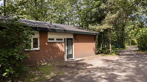 Bungalow indépendant dans une zone boisée - 2