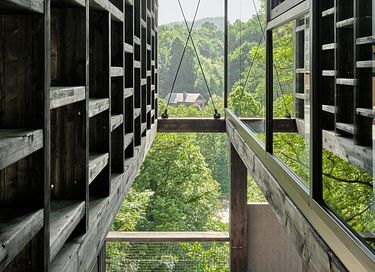 Luxueuze boomhut in de Ardennen - 17