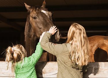 Vakantie op een speelboerderij in Limburg - 32