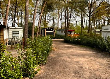 Tiny house met veranda in Drenthe voor 4 personen - 19