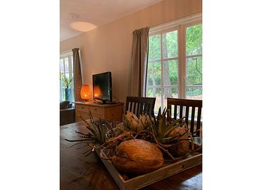Fairytale forest cottage in Drenthe - 12