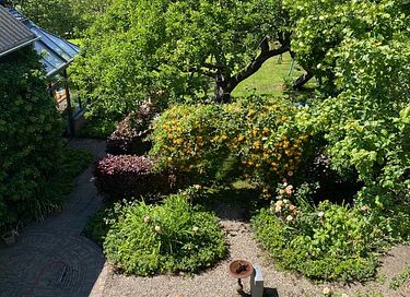 Prachtige B&B aan de rand van de Biesbosch - 17