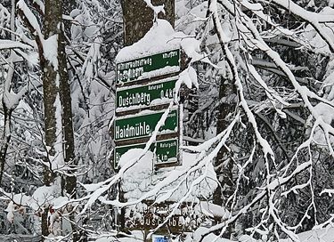 Appartement de vacances pour 4 personnes dans la forêt bavaroise - 18