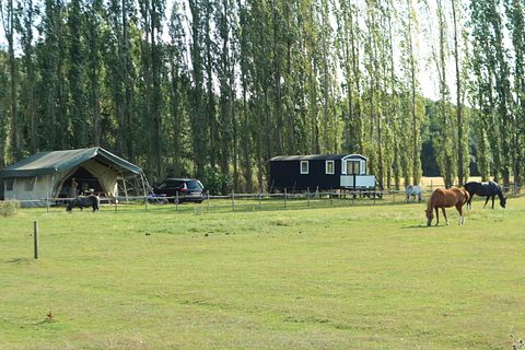 Pipowagen met natuurbad op eigen terrein - 3