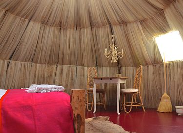 Special stay in a thatch igloo - 4