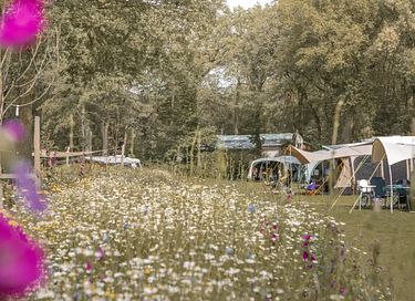 Comfortabele tentlodge met eigen sanitair - 36