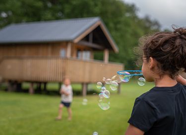 Natuurlodge voor 4 personen in Drenthe - 20