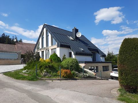 Luxury vacation home in Radvanice - 3