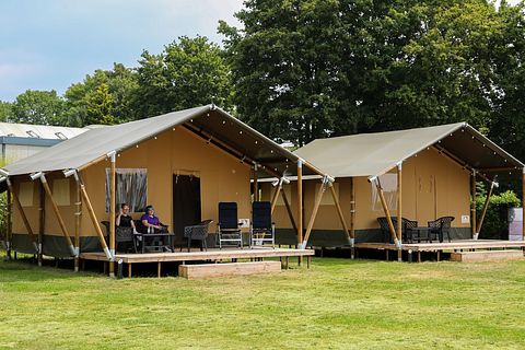 6-person safari tent with terrace - 2