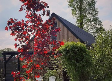 Peace & nature in sleek design vacation home - 3