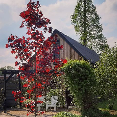 Peace & nature in sleek design vacation home - 3