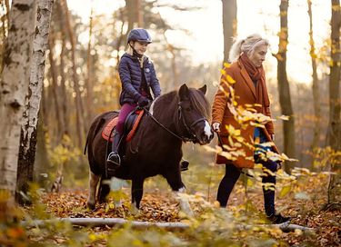  Glamping à la ferme à cheval et à poney - 19