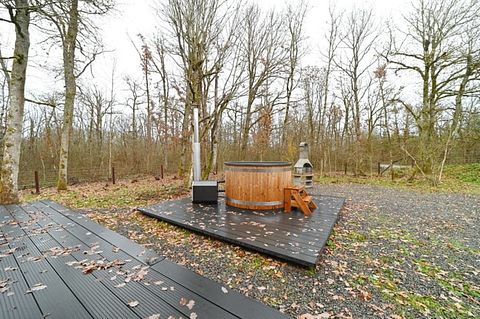 Chalet avec jacuzzi dans les bois des Ardennes - 3