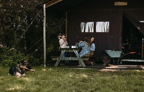 Zelt-Ferienhaus mit Whirlpool auf einem Milchviehbetrieb - 2
