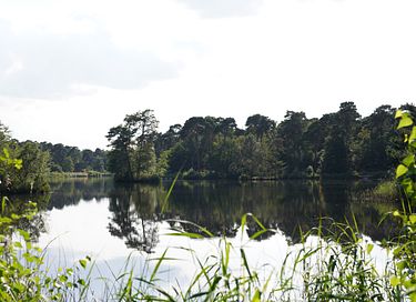 Stijlvol vakantiehuis in prachtige omgeving - 26