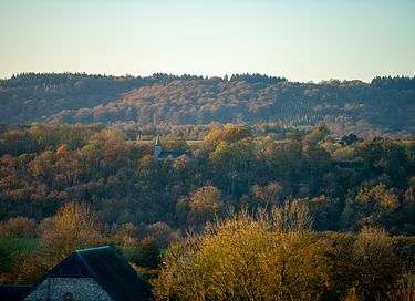 Forest cabin with sauna on a hill in Durbuy - 38