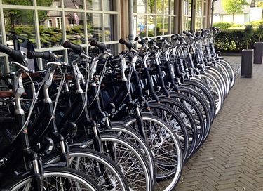 4 pers. vakantiehuis met hottub in Overijssel - 30