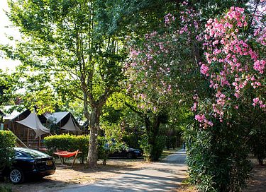 Glamping-Zelt (6P) in Sdfrankreich in Roquebrune sur Argens | Les Pcheurs