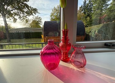 Villa en pleine forêt avec sauna et aire de jeux extérieure - 20