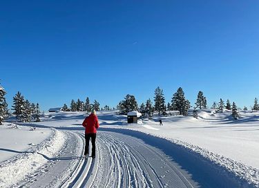 Luxury accommodation in rugged Norwegian nature - 37