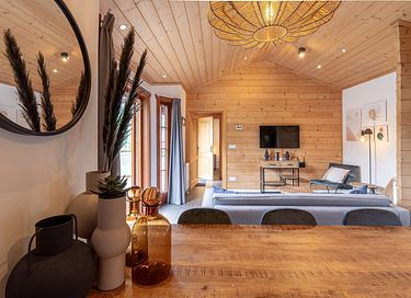 Wooden chalet near a natural lake - 8