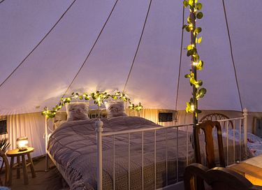 Glamping tussen de alpaca's - 4
