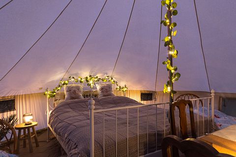 Glamping tussen de alpaca's - 4