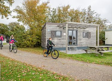 Knusse, houten cabin in de duinen - 10