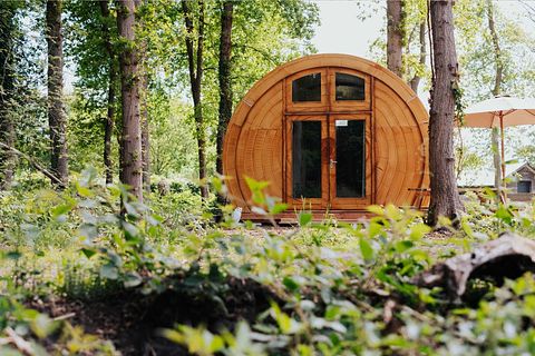 Chalet confortable au milieu des arbres à Drenthe - 3
