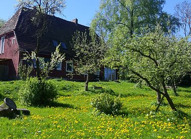 Rustic stay in rural setting - 24
