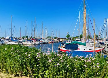 Vakantiehuis aan het Lauwersmeer - 22