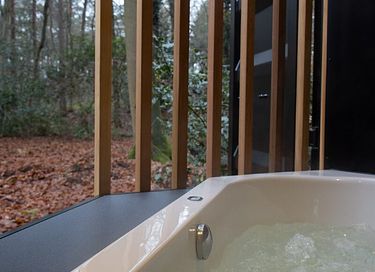 Bungalow met sauna in Drenthe - 4
