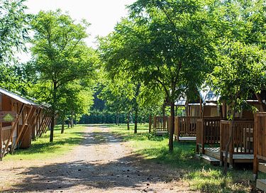 Glamping tent (5p) near the sea in Croatia - 14