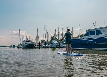 Chalet avec sauna privé près du Biesbosch - 22