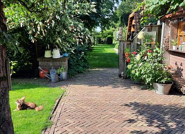 Knusse pipowagen in de Betuwe - 16