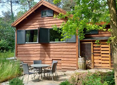 Natuurhuisje in eigen bos met openhaard - 3