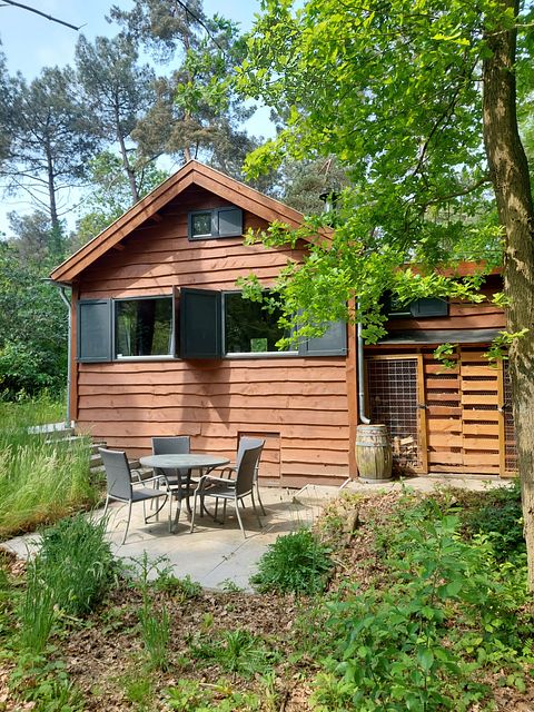 Natuurhuisje in eigen bos met openhaard - 3