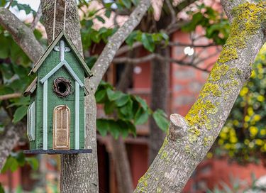 Vakantiehuis met eigen zwembad en tuin - 13