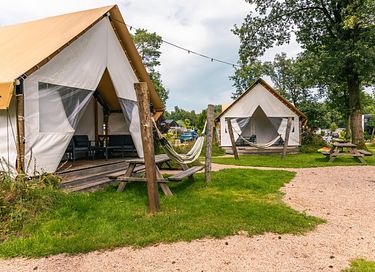 Tente glamping de luxe pour 4 à Overijssel - 3