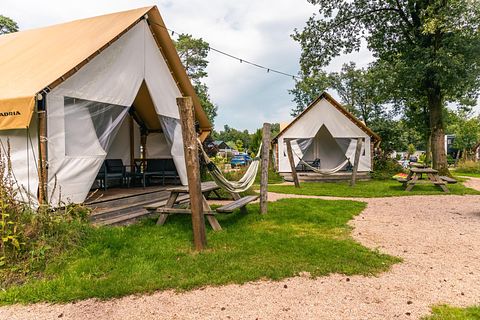 Tente glamping de luxe pour 4 à Overijssel - 3