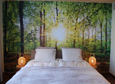 Unieke B&B in oud gemeentehuis in Zeeland - 5